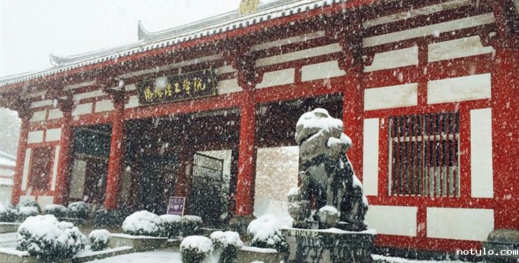 洛理初雪